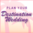 Visit Weddingsonthemove.com